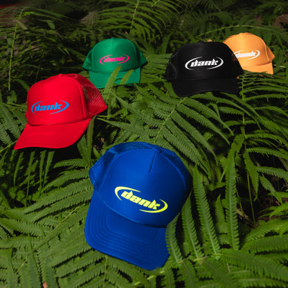 Dank Trucker hat