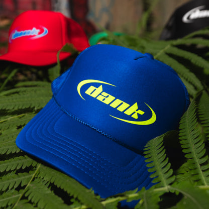 Dank Trucker hat