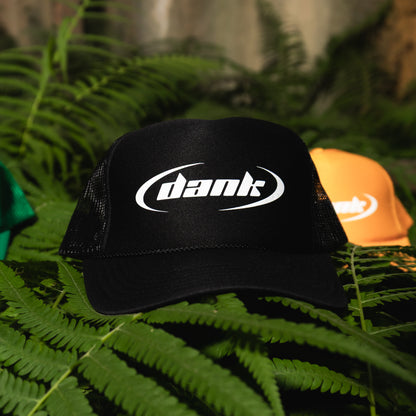 Dank Trucker hat