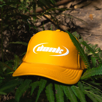Dank Trucker hat