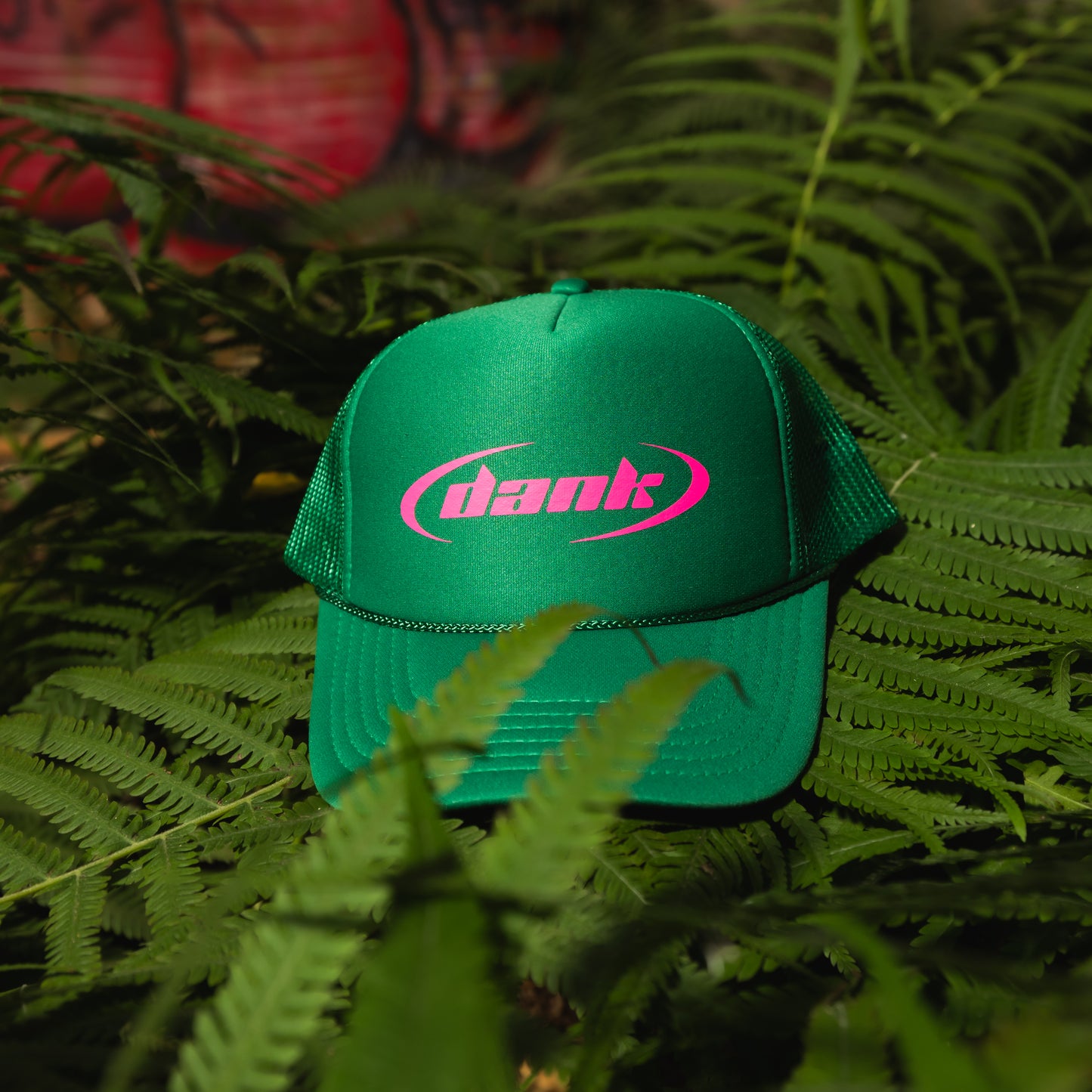 Dank Trucker hat