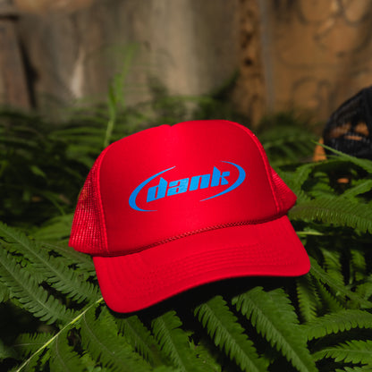 Dank Trucker hat